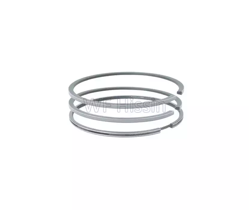 Piston ring QC495Q(DI)